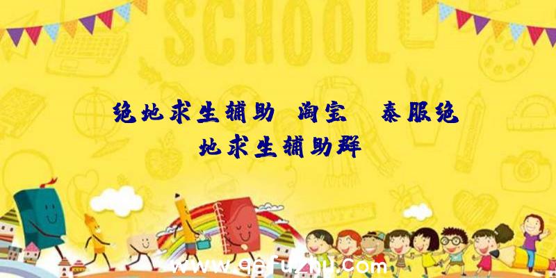 「绝地求生辅助